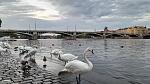     
: 20230720_210520.jpg
: 16
:	130.4 
ID:	13588714