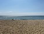     
: IMG_0566.jpg
: 15
:	115.5 
ID:	13588748