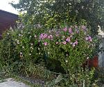     
: IMG_0569.jpg
: 15
:	211.3 
ID:	13588749