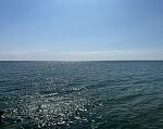     
: IMG_0576.jpg
: 14
:	114.1 
ID:	13588751