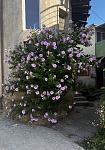     
: IMG_0577.jpg
: 20
:	92.4 
ID:	13588752