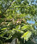     
: IMG_0580.jpg
: 12
:	178.8 
ID:	13588753