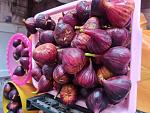     
: 20230722_122141.jpg
: 9
:	133.7 
ID:	13588872