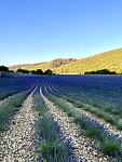     
: IMG_1283.jpg
: 15
:	100.0 
ID:	13588931