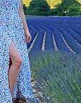     
: IMG_1278.jpg
: 17
:	115.1 
ID:	13588932