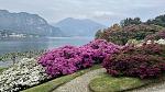     
: IMG_6956.jpg
: 41
:	146.7 
ID:	13589098