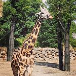     
: IMG_20230726_184903_497.jpg
: 14
:	245.8 
ID:	13589266