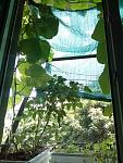     
: IMG_20190628_135418.jpg
: 19
:	161.7 
ID:	13590254