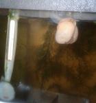     
: 08-17_12-09-49-922.jpg
: 12
:	74.6 
ID:	13590444
