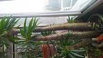    
: IMG_20230824_164809.jpg
: 16
:	148.8 
ID:	13590883