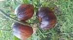     
: IMG_20230824_174118.jpg
: 37
:	109.4 
ID:	13591068