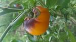     
: IMG_20230824_174154.jpg
: 34
:	73.7 
ID:	13591069