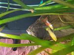     
: IMG_20230918_090850.jpg
: 29
:	89.7 
ID:	13592164