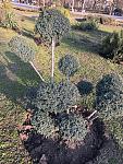     
: 230304-2.jpg
: 4
:	293.6 
ID:	13592917