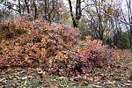     
: 1024IMG_9751.JPG
: 4
:	232.9 
ID:	13592918