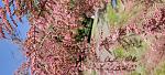     
: 20230514_144908.jpg
: 4
:	154.1 
ID:	13592919