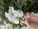     
: IMG_5873.jpg
: 16
:	107.1 
ID:	13592970