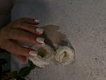     
: IMG_2201.jpg
: 21
:	50.5 
ID:	13593224
