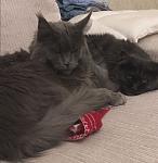     
: zzzz.JPG
: 10
:	43.2 
ID:	13593713