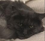     
: zzzzz.JPG
: 11
:	33.8 
ID:	13593714