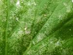     
: IMG_20231015_134107_1.jpg
: 60
:	173.0 
ID:	13593961