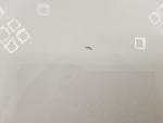     
: 20231019_101844.jpg
: 15
:	44.9 
ID:	13594206