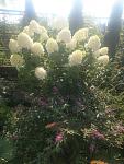     
: IMG_20220725_092704034.jpg
: 29
:	132.5 
ID:	13594523