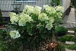     
: DSC_6113.jpg
: 29
:	224.8 
ID:	13594525