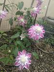     
: IMG_20220527_152414566.jpg
: 40
:	130.1 
ID:	13594536