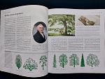     
: trees2.jpg
: 18
:	123.7 
ID:	13594826