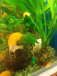     
: IMG_20231026_092406.jpg
: 51
:	103.0 
ID:	13595092