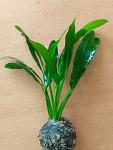     
: IMG_20231023_112626.jpg
: 47
:	88.4 
ID:	13595094