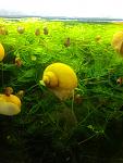     
: IMG_20231023_110839.jpg
: 46
:	100.4 
ID:	13595095