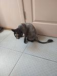     
: IMG_20230521_132659_1.jpg
: 37
:	57.6 
ID:	13595297