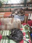     
: IMG_20230620_131003.jpg
: 37
:	128.9 
ID:	13595298