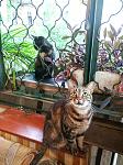     
: IMG_20230801_065648.jpg
: 32
:	146.5 
ID:	13595299