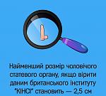     
: 20231105_195411.jpg
: 20
:	80.4 
ID:	13595309