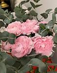     
: IMG_9871.jpg
: 13
:	68.1 
ID:	13596750