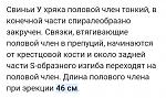     
: 20231230_184017.jpg
: 12
:	74.8 
ID:	13598361