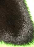     
: 33752523_6.jpg
: 7
:	111.9 
ID:	13599024