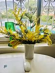     
: IMG_0500.jpg
: 16
:	82.9 
ID:	13599151