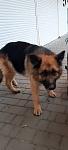     
: orx5LCpCwJw.jpg
: 23
:	45.2 
ID:	13599476