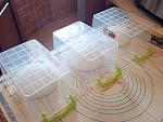     
: 20240208_120830.jpg
: 11
:	179.0 
ID:	13600359