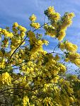     
: IMG_0912.jpg
: 22
:	128.4 
ID:	13600506