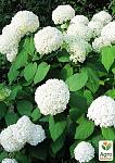     
: 091rotosrije8eighck0b0s6ieshf3z3.jpeg
: 10
:	229.2 
ID:	13601953