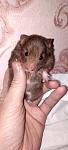     
: GridArt_20240311_115512494.jpg
: 20
:	63.1 
ID:	13601970