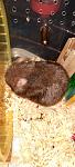     
: GridArt_20240311_115618207.jpg
: 16
:	82.9 
ID:	13601971
