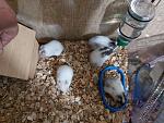     
: 20240327_212947.jpg
: 15
:	165.3 
ID:	13602886