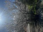     
: IMG_3189.jpg
: 14
:	235.2 
ID:	13602967