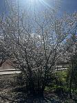     
: IMG_3189.jpg
: 14
:	133.7 
ID:	13602968
